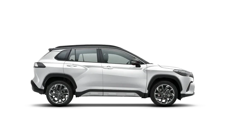 Platinum White Pearl Mica / Attitude Black Mica